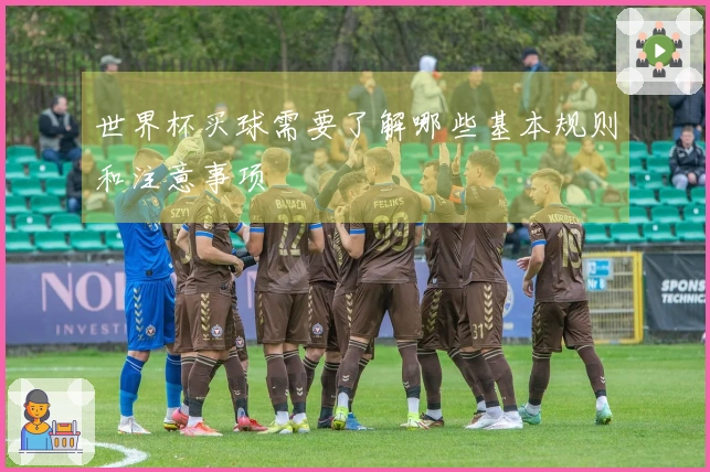 世界杯买球需要了解哪些基本规则和注意事项