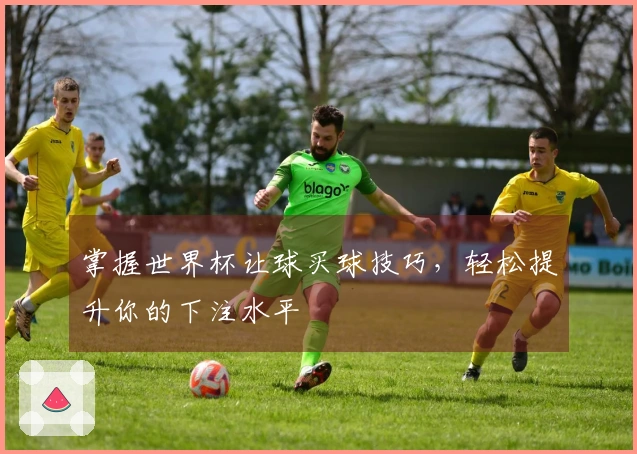 掌握世界杯让球买球技巧，轻松提升你的下注水平