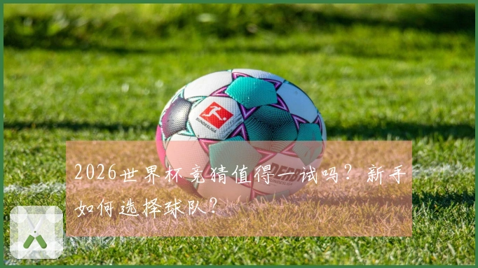 2026世界杯竞猜值得一试吗？新手如何选择球队？