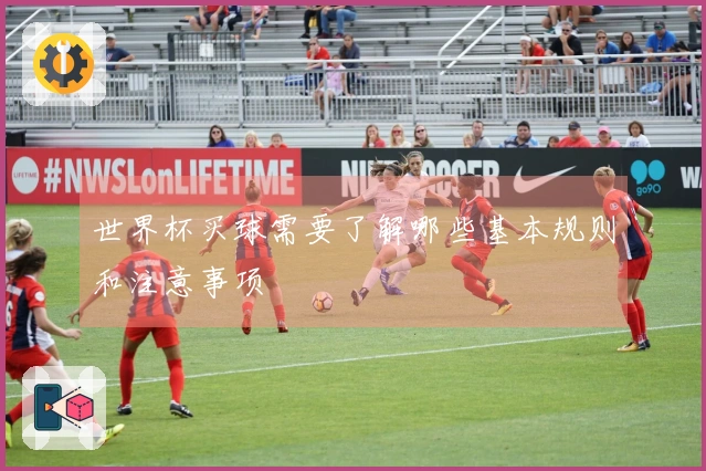 世界杯买球需要了解哪些基本规则和注意事项