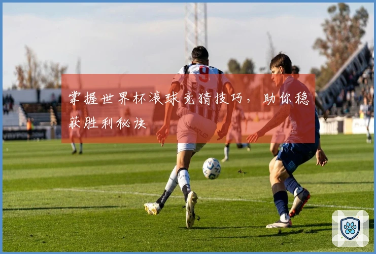 掌握世界杯滚球竞猜技巧，助你稳获胜利秘诀