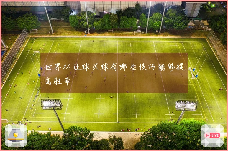 世界杯让球买球有哪些技巧能够提高胜率