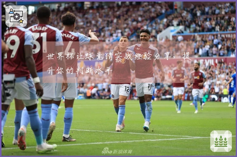 世界杯让球竞猜实战经验分享，提升你的判断水平