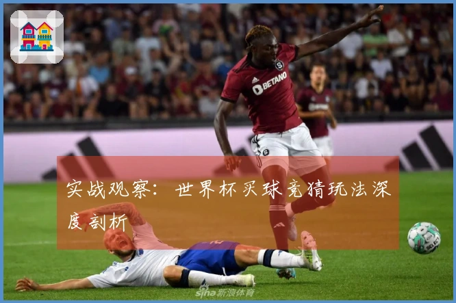 实战观察：世界杯买球竞猜玩法深度剖析